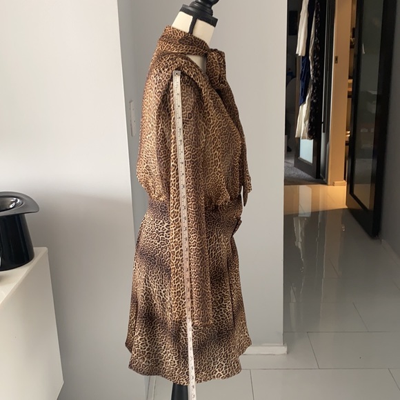 Zara Animal Print Dress - Picture 6 of 9